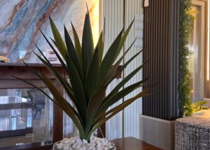 YUCCA - 50CM