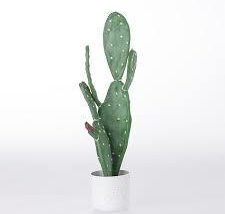 CACTUS - 60CM
