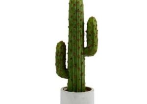 CACTUS - 83CM