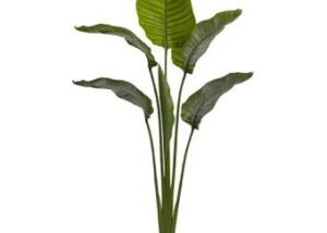 TRAVELLER'S PALM -180CM